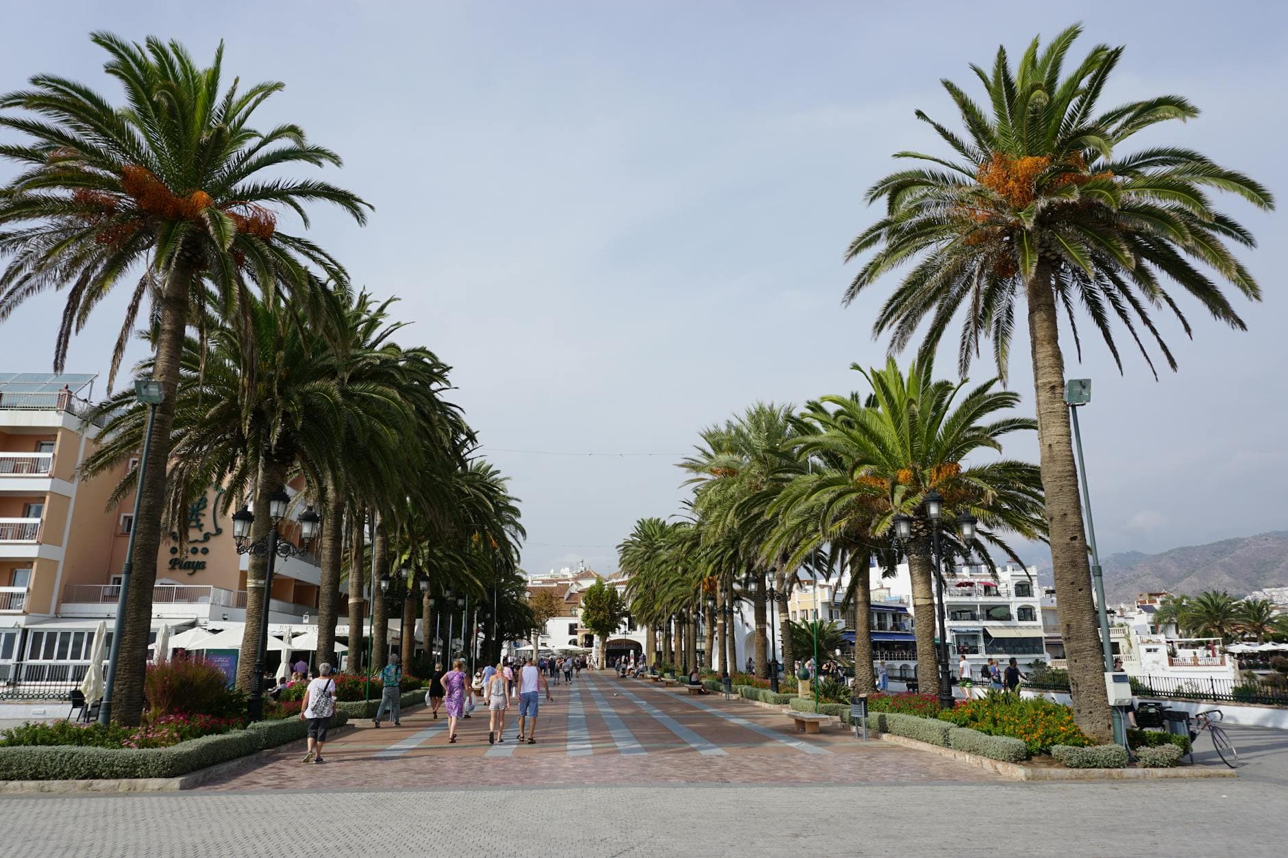 Bayshore Boulevard runners, South Tampa